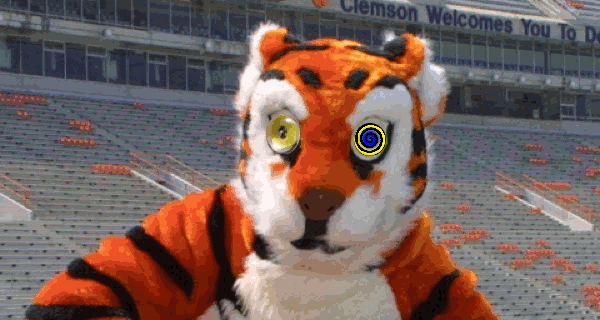 Clemson-Tiger-Hypnotize.gif