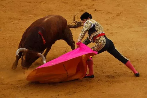 Spanish-bullfighter-Morante-de-la-Puebla-performs-a-media-a-pass.jpg