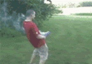giphy.gif