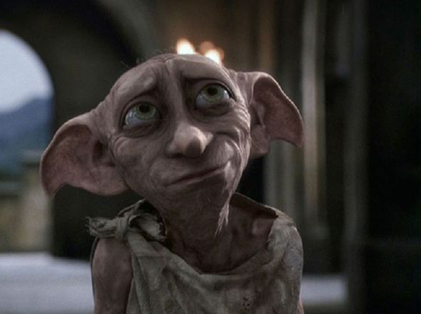 dobby-harry-potter-dog-222063.jpg