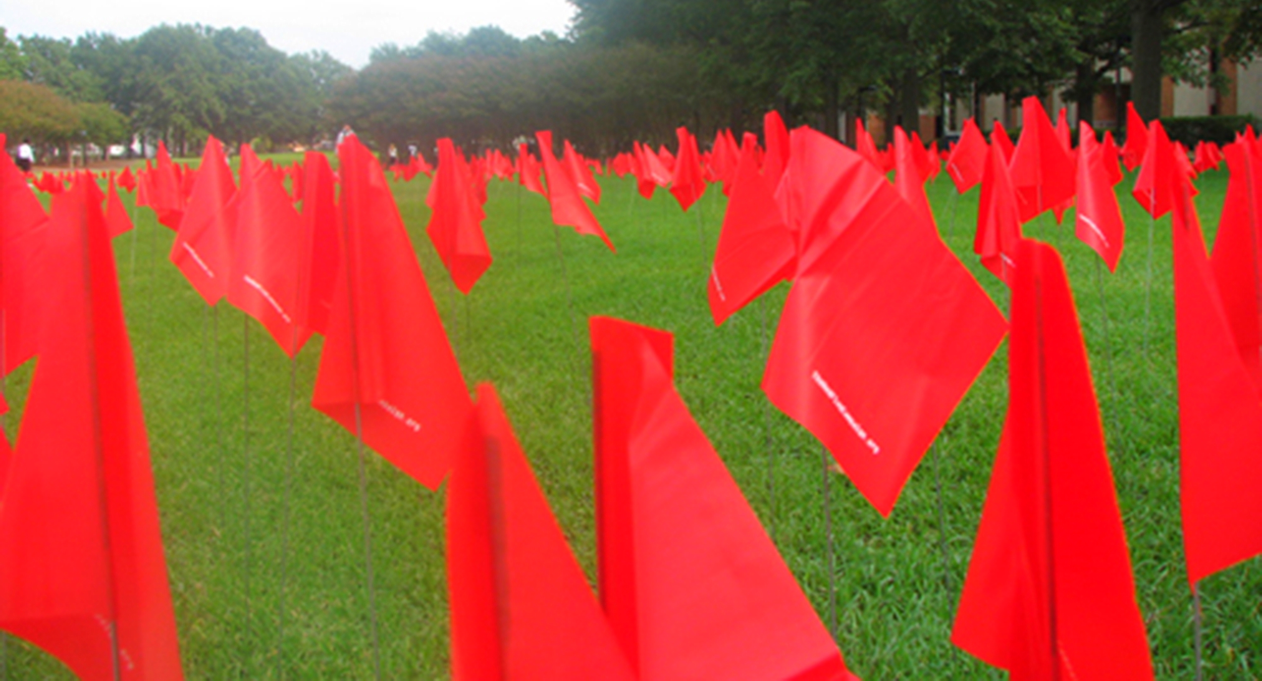 red+flags+on+lawn+enlarged.jpg