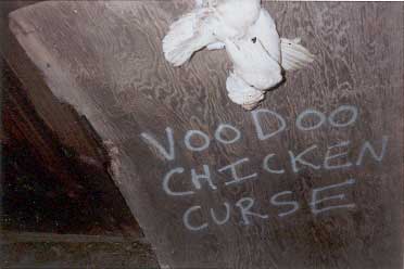 vd-chicken-curse2.jpg
