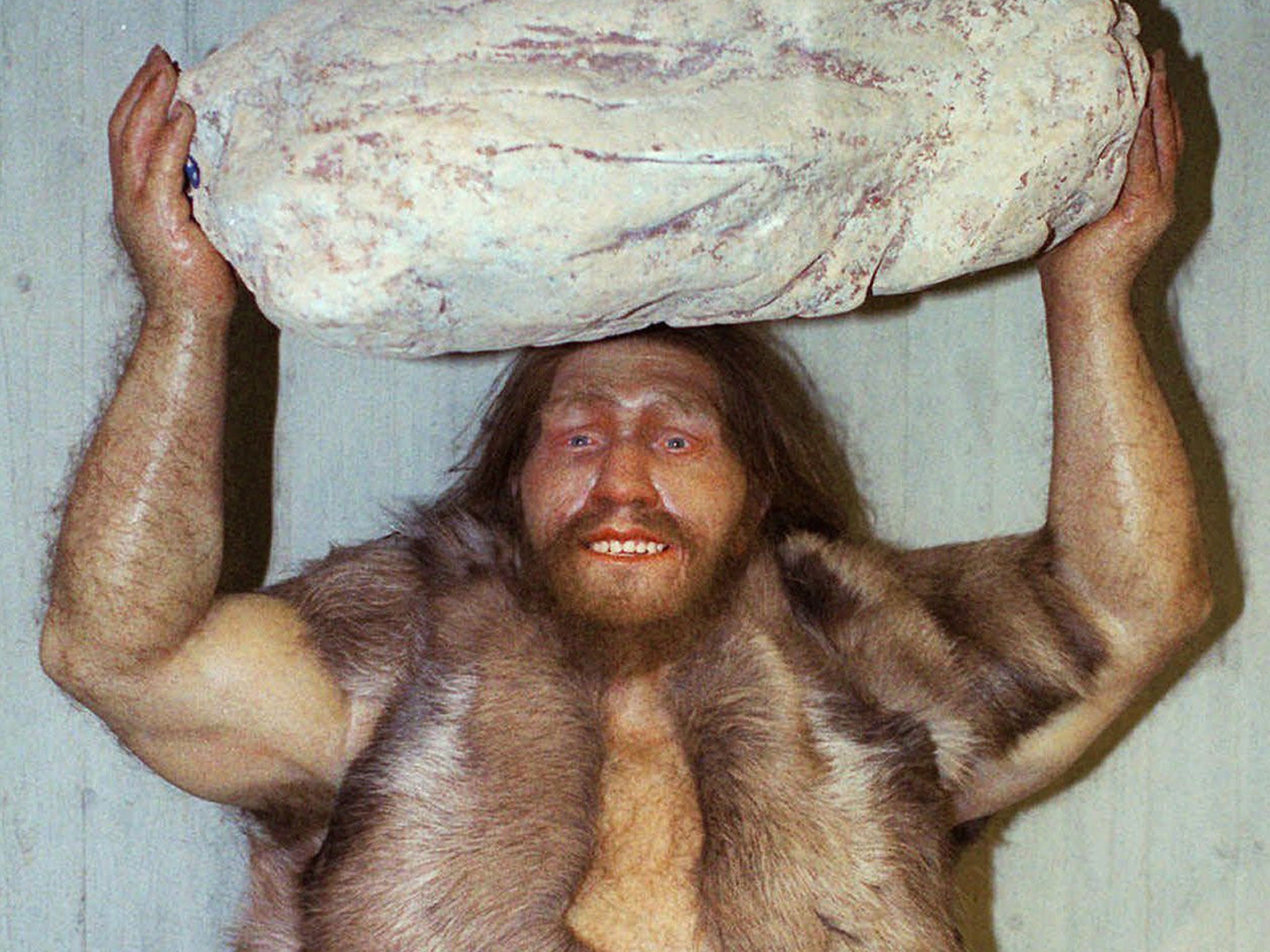 neanderthalAP.jpg