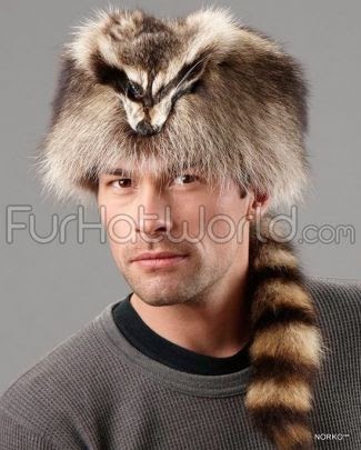 Coonskin_Cap_with_Face_Raccoon_Fur_169.jpg