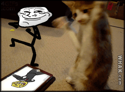 cat-plays-ipad-dancing-trolls-trollface-meme-lolcat-funny.gif